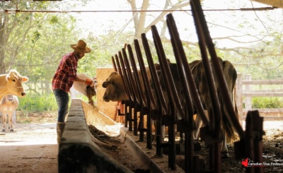 Canadian Visa Professionals - Farms