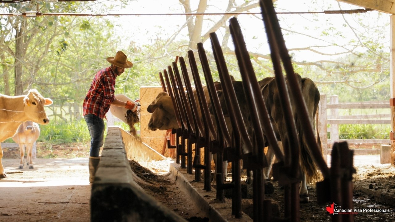 Canadian Visa Professionals - Farms